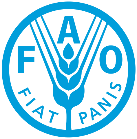 FAO Representative